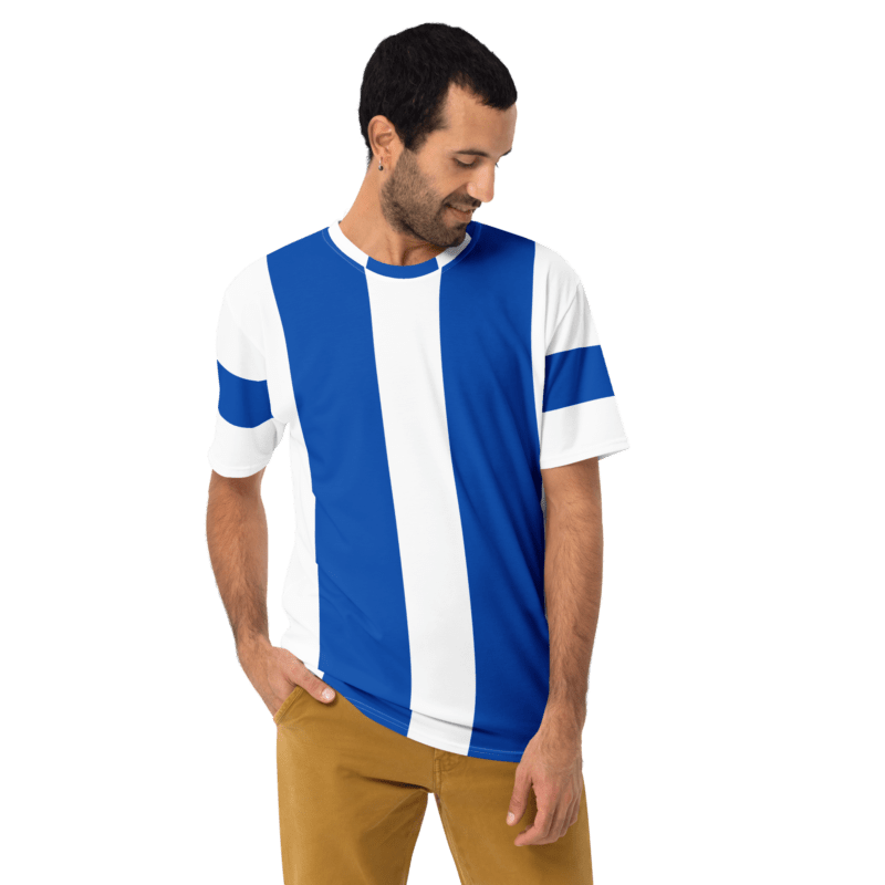 double-blue-stripe-mens-t-shirt