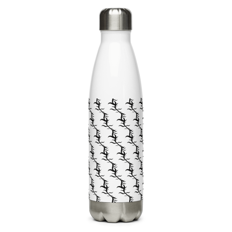 branch-stainless-dteel-water-bottle-170z