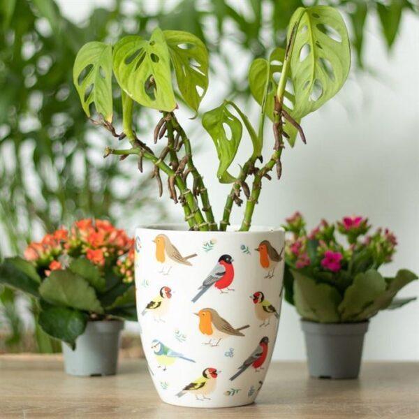 Ceramic British Garden Birds Plant Pot - Image 4