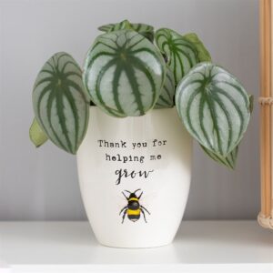 Ceramic Thank You For Helping Me Grow Bee Plant Pot